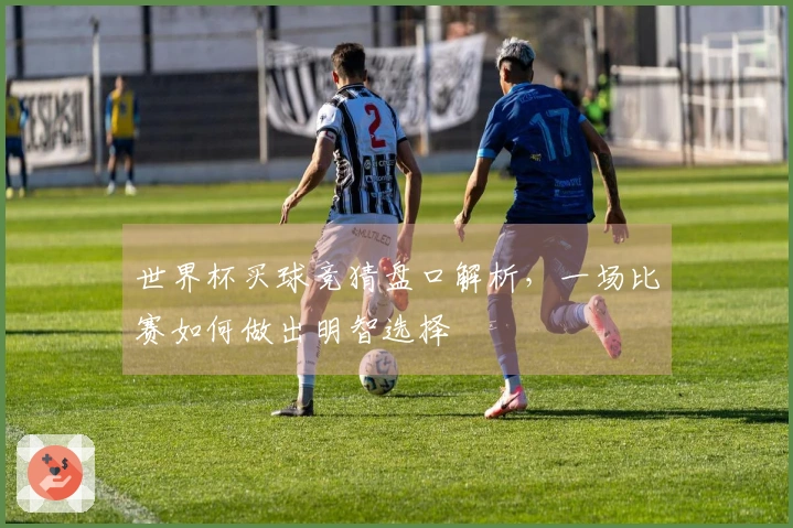 世界杯买球竞猜盘口解析，一场比赛如何做出明智选择