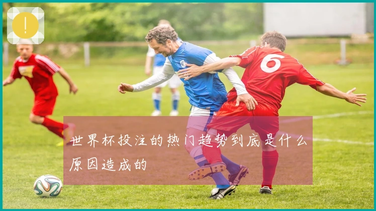世界杯投注的热门趋势到底是什么原因造成的