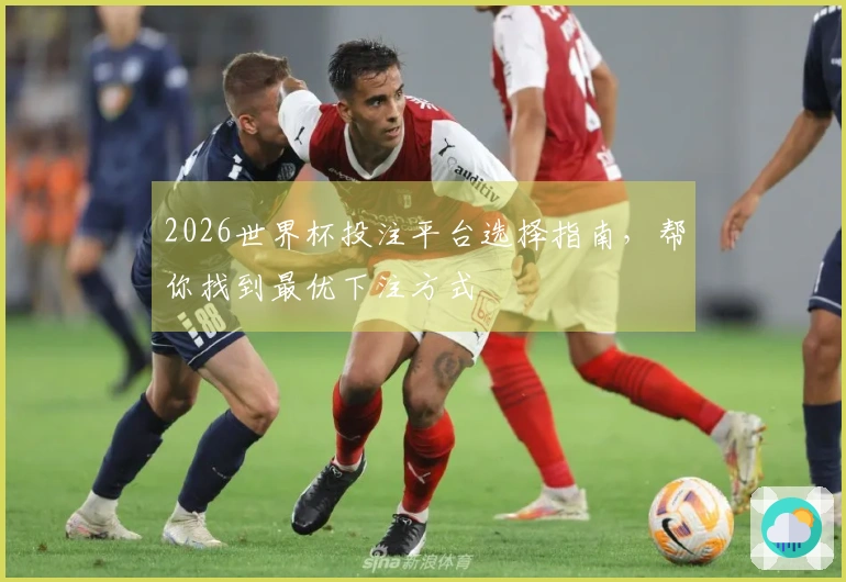 2026世界杯投注平台选择指南，帮你找到最优下注方式