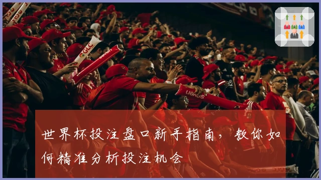 世界杯投注盘口新手指南，教你如何精准分析投注机会