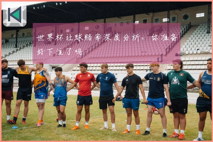 世界杯让球赔率深度分析，你准备好下注了吗