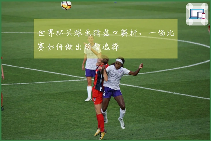 世界杯买球竞猜盘口解析，一场比赛如何做出明智选择