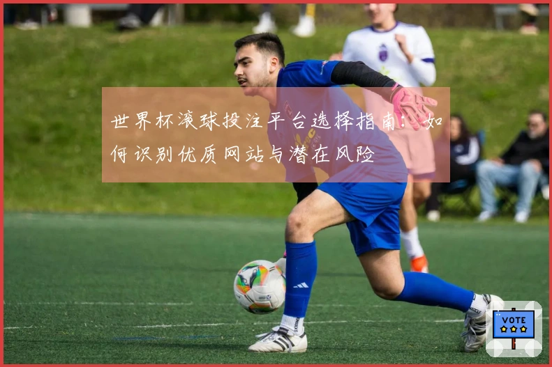 世界杯滚球投注平台选择指南：如何识别优质网站与潜在风险
