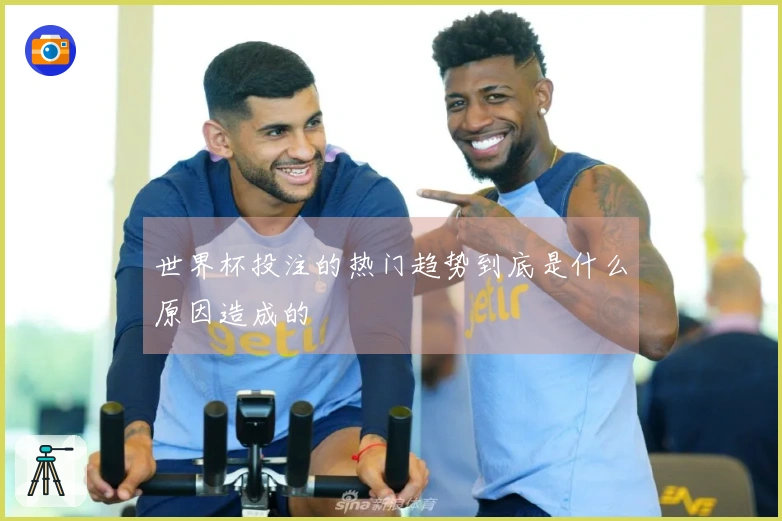 世界杯投注的热门趋势到底是什么原因造成的