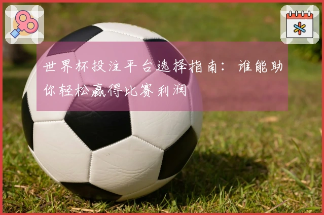 世界杯投注平台选择指南：谁能助你轻松赢得比赛利润